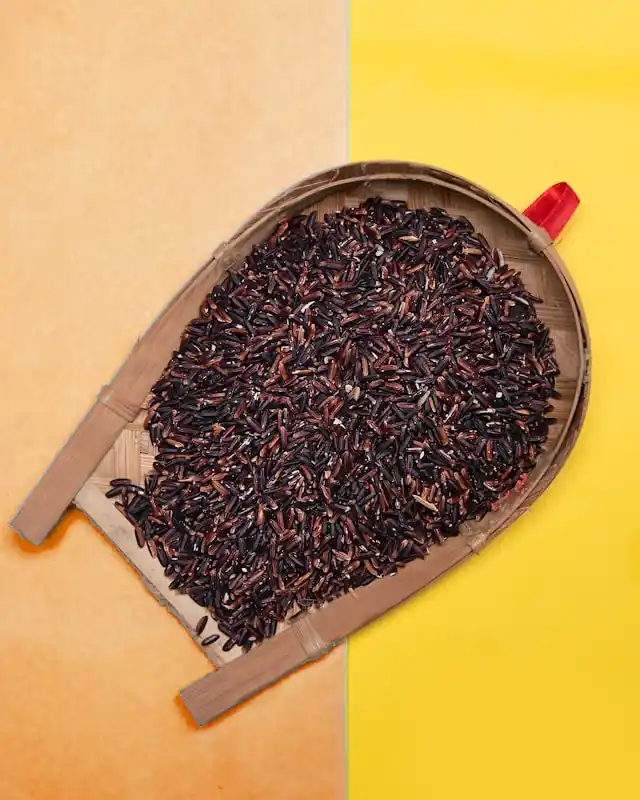 Nährhaftes Miso-Kitchari mit schwarzem Reis und Chilis, ein ausgewogenes ayurvedisches Gericht mit aromatischem Geschmack.